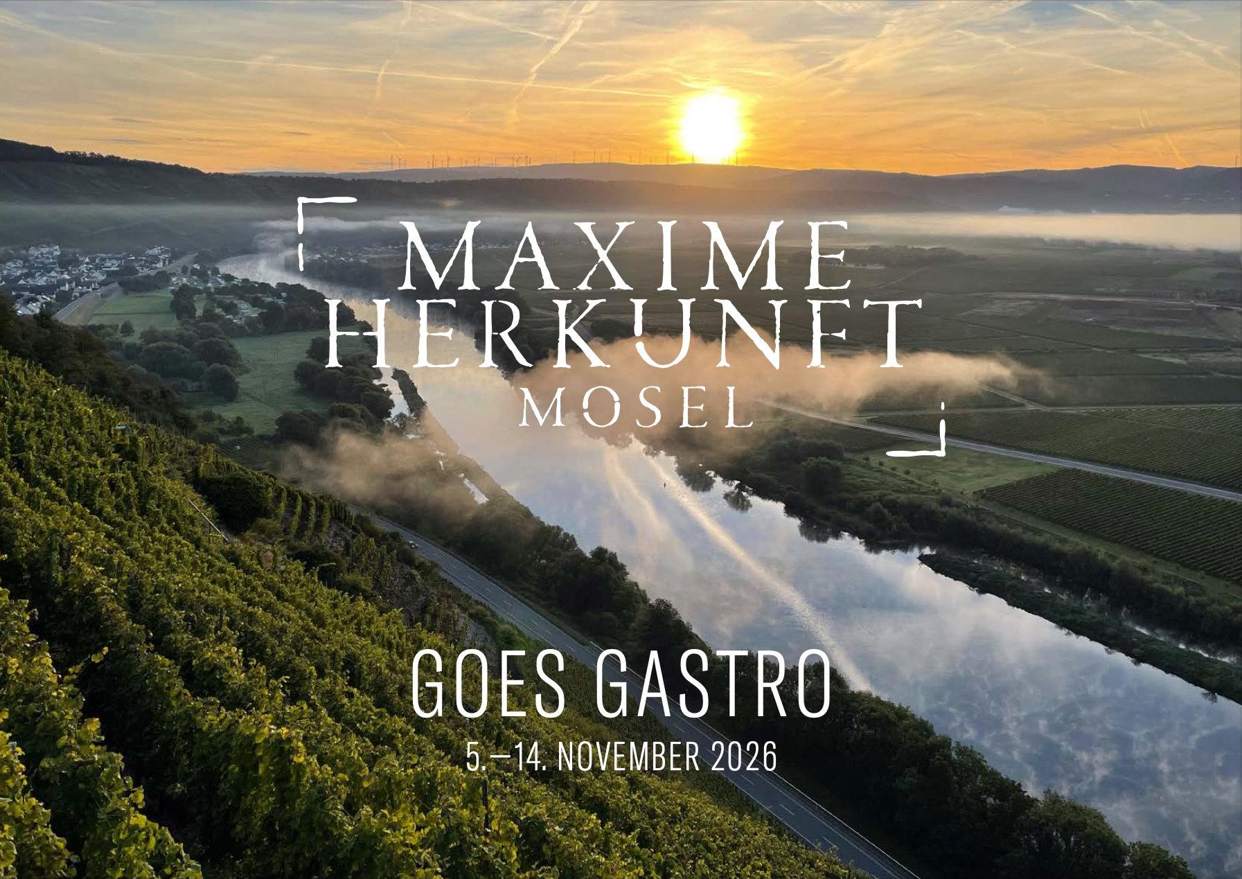Blick in das Moseltal